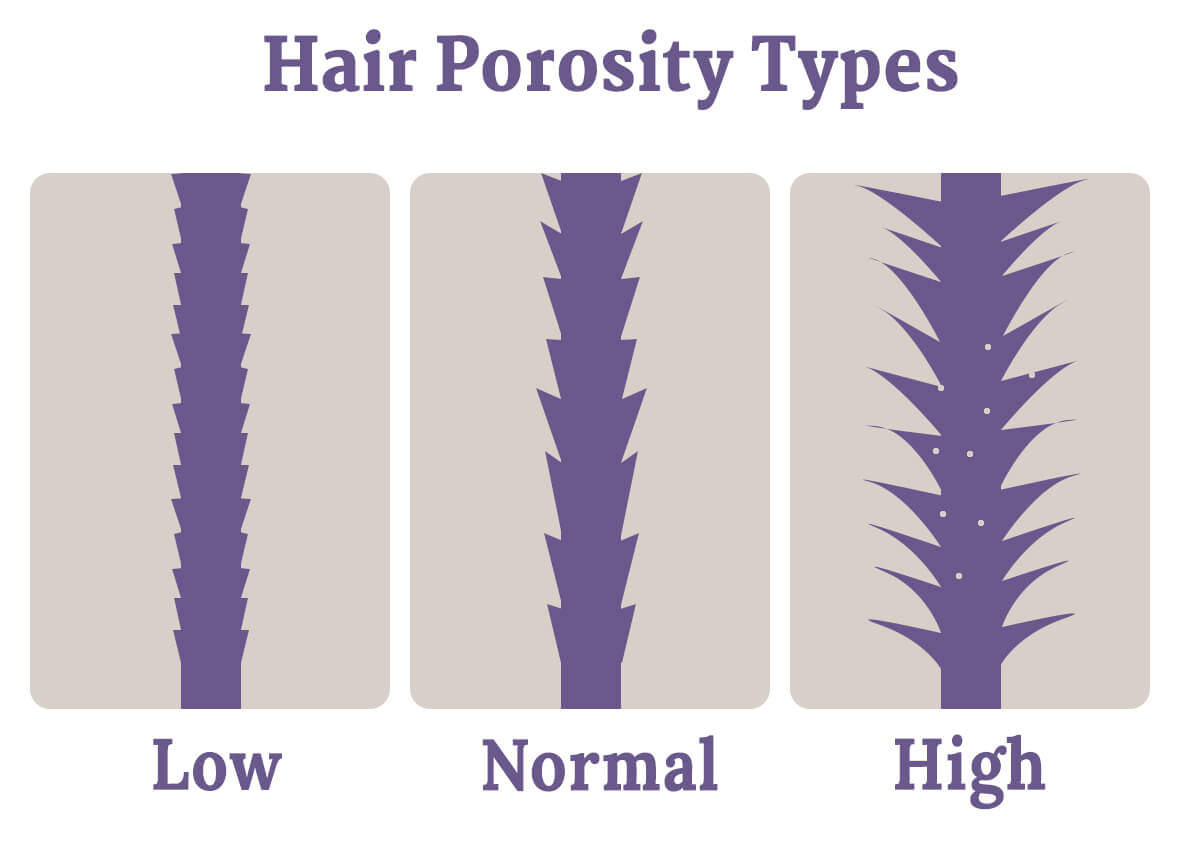 definition of hair porosity - low to high hair porosity chart
