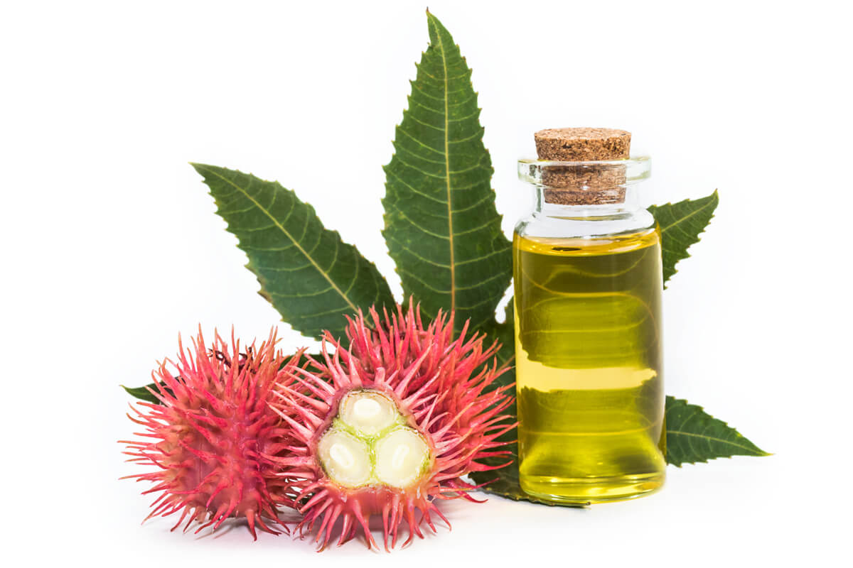 natural castor oil product on keratin hair