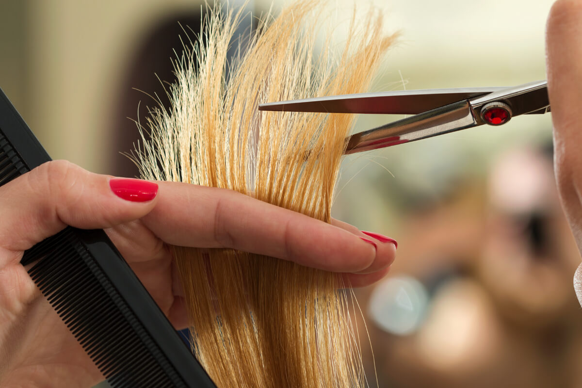 best tool for haircuts with inch precision