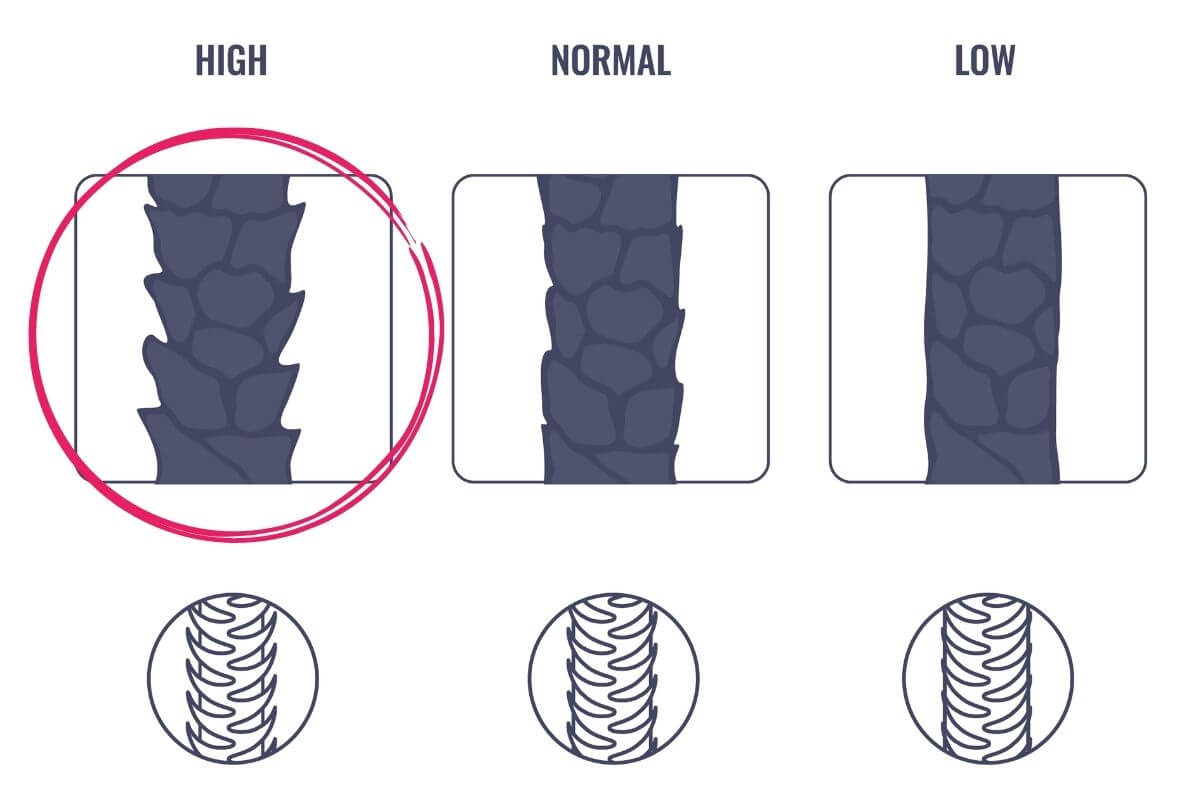 hair is always tangled and frizzy because of high porosity