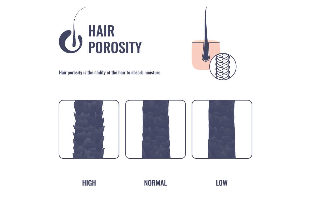 porosity of hair defined