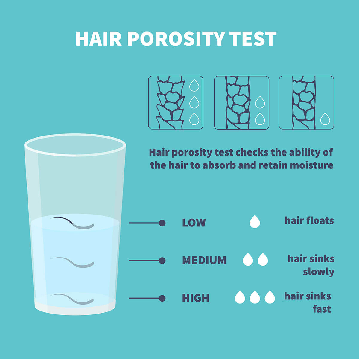 low and high porosity hair test