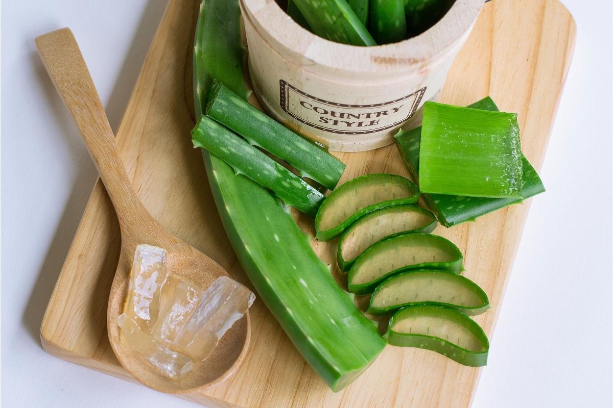 is aloe vera good for low porosity hair types aloe vera for hair is an important ingredient for low po hair
