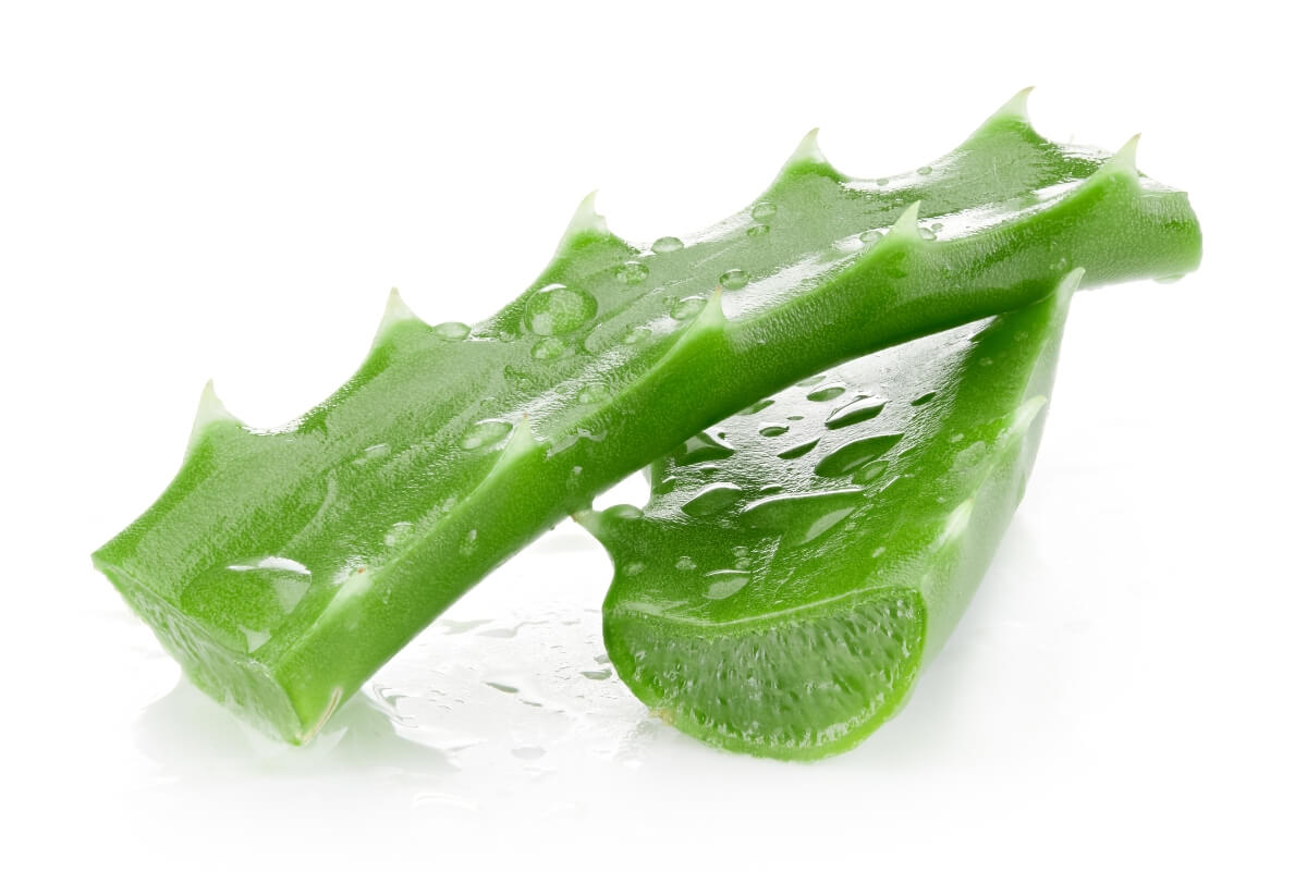 anti-dandruff properties
