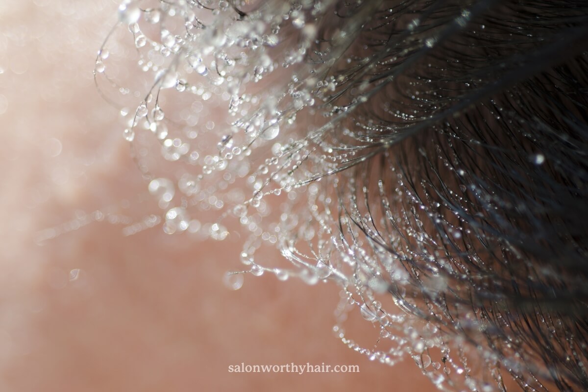 undefined when you have low hair porosity, it is hard to keep it moisturized