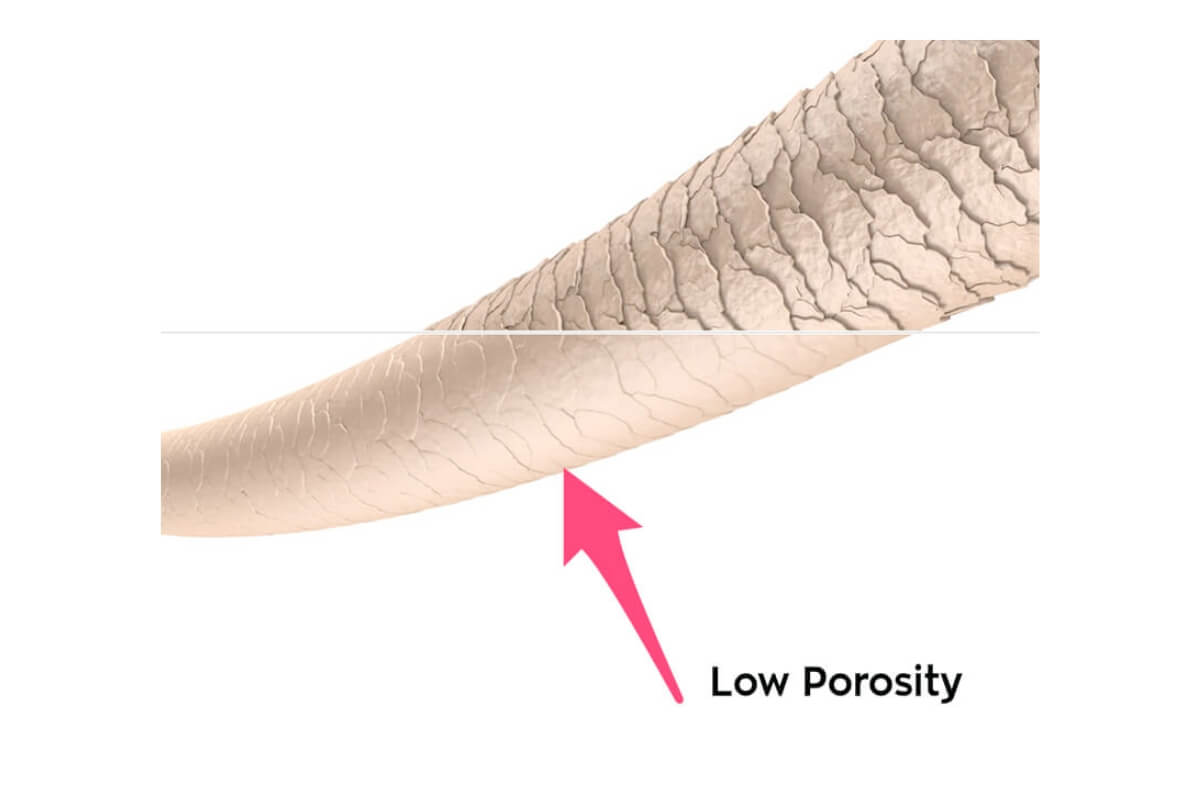 undefined analyzing natural texture of hair and porosity