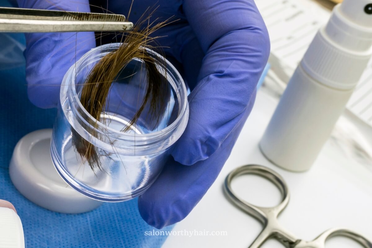 checking natural hair pore size distribution