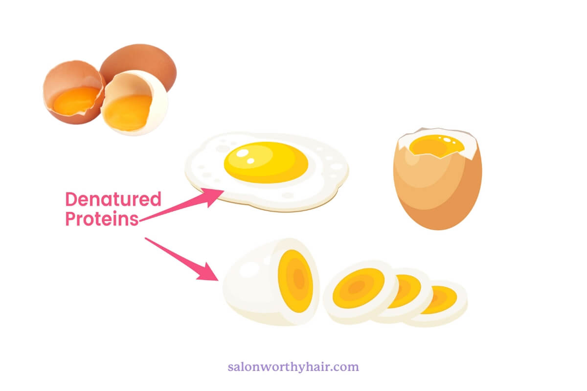 heat damaged in hair is essentially the denaturation of the hair's proteins