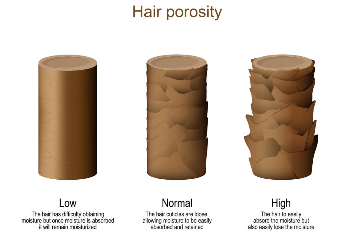 porous hair causes excess moisture absorption and release