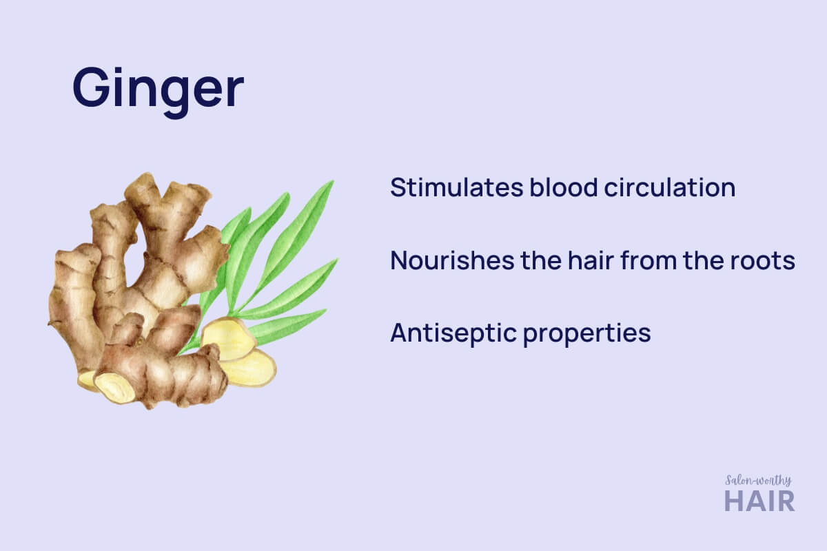 how ginger can boost hair growth